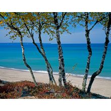 Lake Superior Treasures Wall Mural