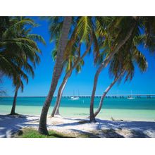 Bahia Honda Key Wall Mural