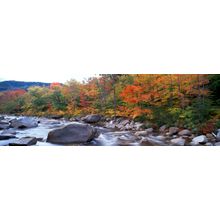 Autumn Ausable River Wall Mural