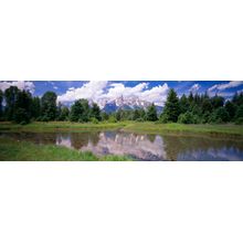 Grand Teton Reflections Wall Mural