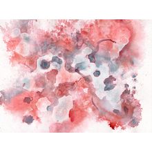 Sublime Rose and Moonglow Wall Mural