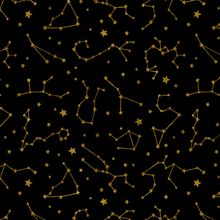 Star Gazer - Black Wall Mural