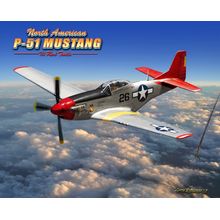 P-51 Mustang Wall Mural