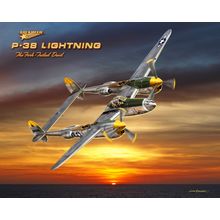 P-38 Wall Mural