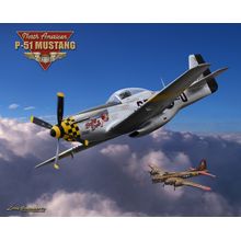 North American P-51 Mustang Wall Mural