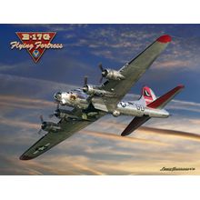 B-17 Special Delivery Wall Mural