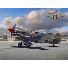 P-40 Warhawk Wall Mural