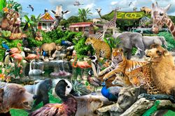 Zoo-Schory-Wall-Mural