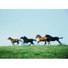 Horses Running II Wall Mural