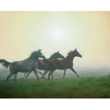 Horses In The Mist Mural Wallpaper