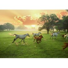 Arabian Horses And The Rising Sun Wall Mural