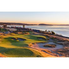 Chambers Bay Golf Course Hole #17 Wall Mural