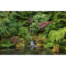 Portland Japanese Garden Wall Mural