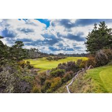 Bandon Trails, Hole #4 Wall Mural