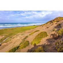Pacific Dunes, Hole #13 Wall Mural