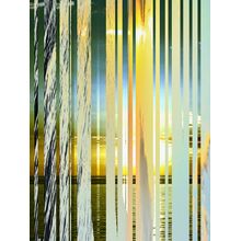 Morning In Miami Wall Mural