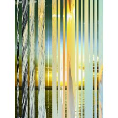 Morning In Miami Wall Mural