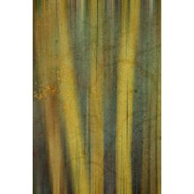 Bamboo Element Wall Mural