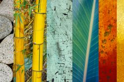 Bamboo-Palm-Wallpaper-Mural