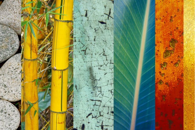Bamboo-Palm-Wallpaper-Mural