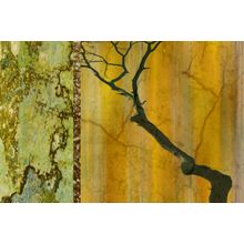 Golden Echos Wall Mural