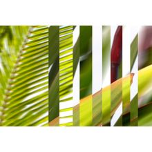 Hawaii Grass Wall Mural