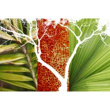 Red Green Wall Mural