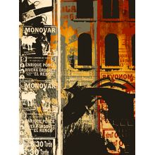 Bull Boy 1 Wall Mural