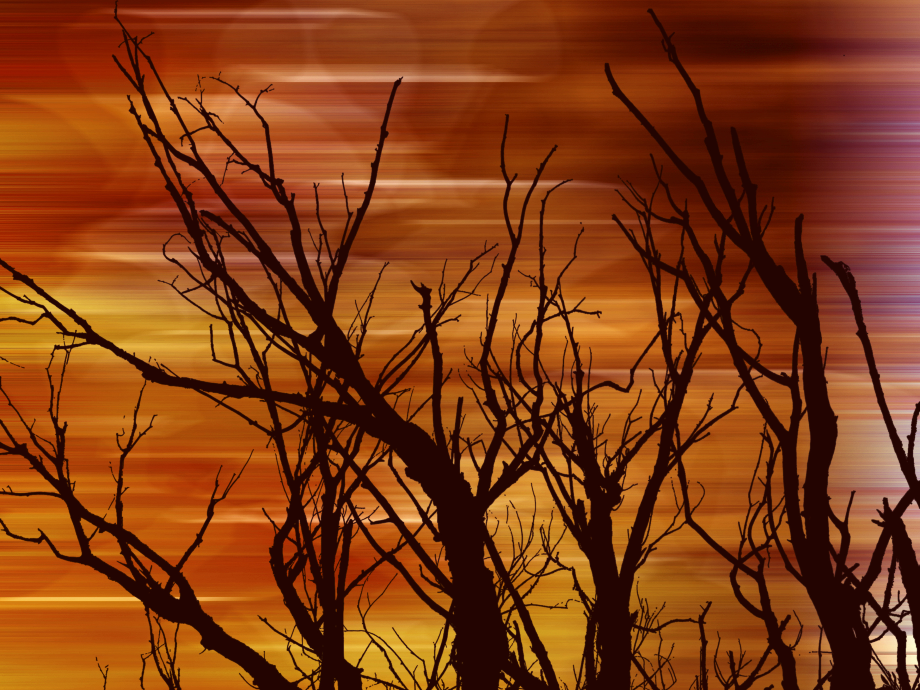 Last Rays Of Sunlight Mural - Matthew Lew - Murals Your Way