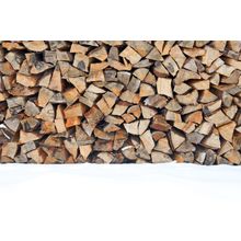Wood Pile In Snow Wall Mural