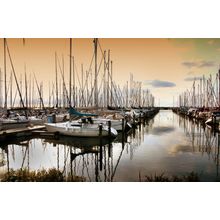 Marina Wall Mural