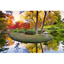 A Burst Of Fall Color Wall Mural