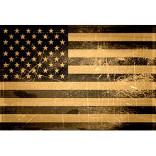 Old Grunge American Flag Wall Mural