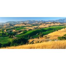 Vineyards In The Valley Wall Mural