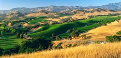 Vineyards-In-The-Valley-Wall-Mural