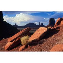 Afternoon In Monument Valley Mural Wallpaper