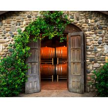 The Barrel Room Wall Mural