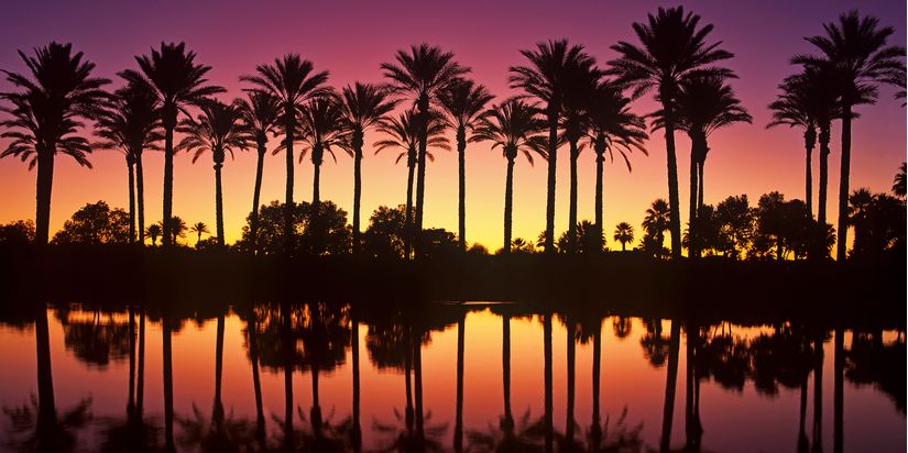 Palm Desert Sunset Mural - Kirk Irwin - Murals Your Way
