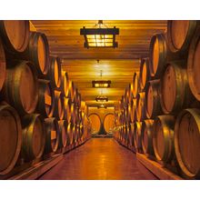 Tomorrow's Wine Wall Mural