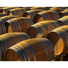 New Wine Barrels Wall Mural