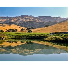 California Central Coast Vineyards Wall Mural