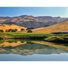 California Central Coast Vineyards Mural Wallpaper