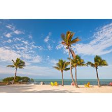 Colorful Chairs On A Florida Beach Wall Mural