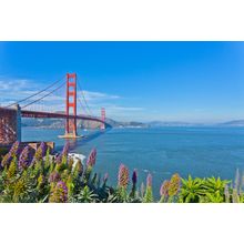 Golden Gate Bridge (View From San Francisco) Wall Mural