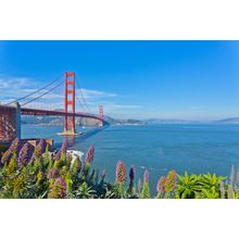 Golden Gate Bridge (View From San Francisco) Mural Wallpaper