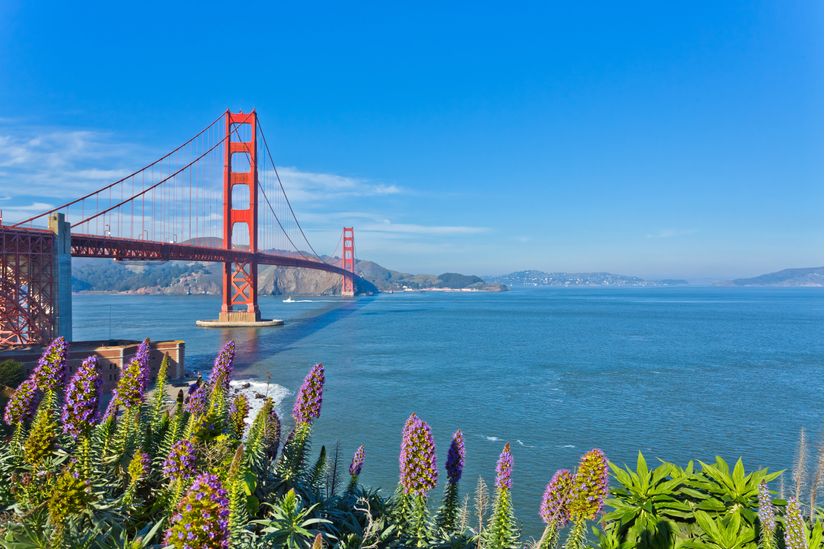 Golden-Gate-Bridge-View-From-San-Francisco-Mural-Wallpaper