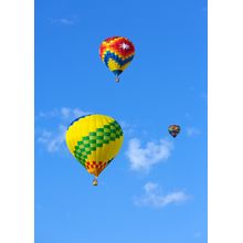 Hot Air Balloons Wall Mural