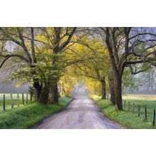 Cades Cove Sparks Lane Wall Mural