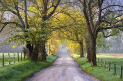 Farmhouse art, black and white photography, Appalachia, farmhouse decor, rural landscape, country deals road print, cades cove, Sparks Lane