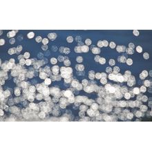 Unfocused Sunlight Sparkling On The Sea Wall Mural